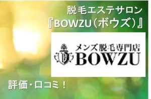 BOWZU（ボウズ）腹毛脱毛費用口コミ